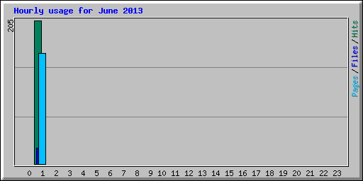 Hourly usage for June 2013